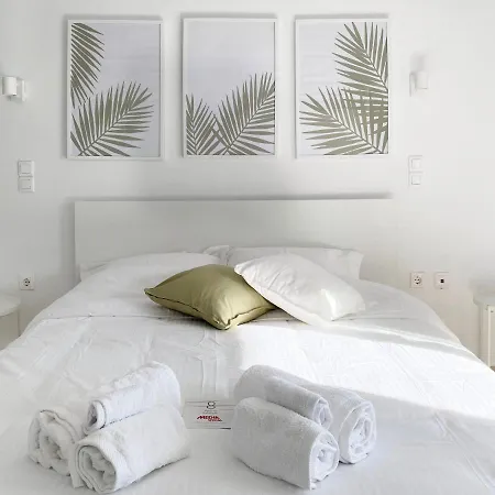 Palm *