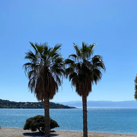 Palm * Porto Heli